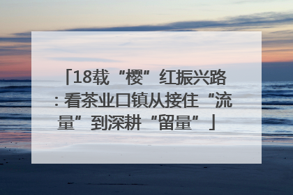 18载“樱”红振兴路：看茶业口镇从接住“流量”到深耕“留量”
