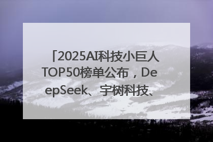 2025AI科技小巨人TOP50榜单公布，DeepSeek、宇树科技、蘑菇车联等企业荣誉上榜