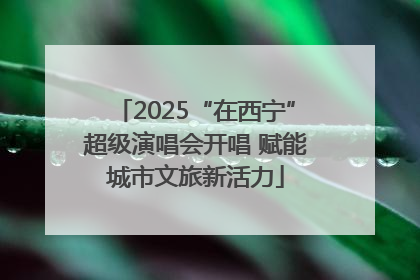 2025“在西宁”超级演唱会开唱 赋能城市文旅新活力