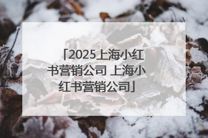 2025上海小红书营销公司 上海小红书营销公司