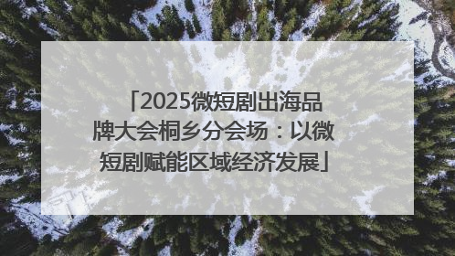 2025微短剧出海品牌大会桐乡分会场：以微短剧赋能区域经济发展