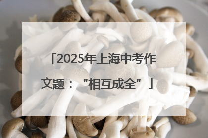 2025年上海中考作文题：“相互成全”