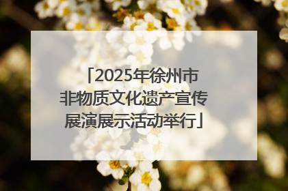 2025年徐州市非物质文化遗产宣传展演展示活动举行