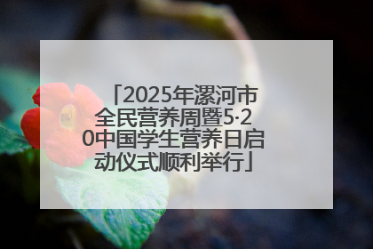 2025年漯河市全民营养周暨5·20中国学生营养日启动仪式顺利举行