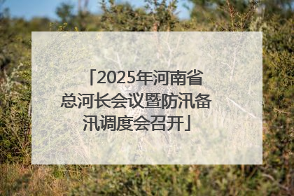 2025年河南省总河长会议暨防汛备汛调度会召开
