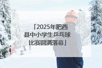 2025年肥西县中小学生乒乓球比赛圆满落幕