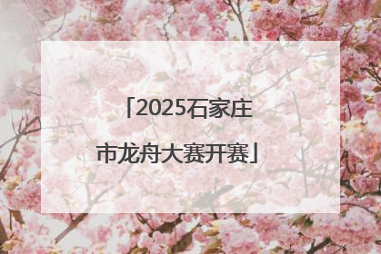 2025石家庄市龙舟大赛开赛