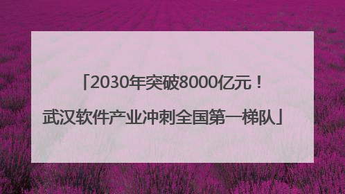 2030年突破8000亿元！武汉软件产业冲刺全国第一梯队