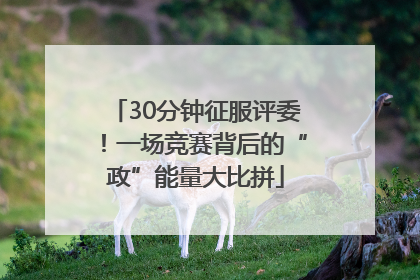 30分钟征服评委！一场竞赛背后的“政”能量大比拼