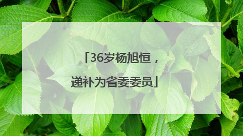 36岁杨旭恒，递补为省委委员