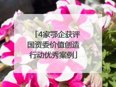 4家鄂企获评国资委价值创造行动优秀案例