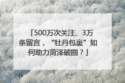 500万次关注、3万条留言，“牡丹包裹”如何助力菏泽破圈？