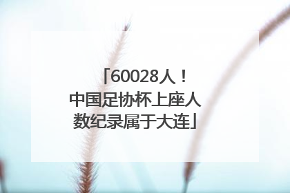 60028人！中国足协杯上座人数纪录属于大连