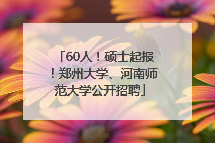 60人！硕士起报！郑州大学、河南师范大学公开招聘