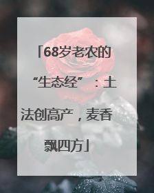 68岁老农的“生态经”：土法创高产，麦香飘四方