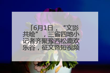 6月1日，“文影共绘”，三省四地小记者齐聚豫西松鹿欢乐谷，征文暨短视频大赛精彩启幕！
