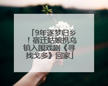 9年逐梦归乡！宿迁姑娘携乌镇入围戏剧《寻找戈多》回家