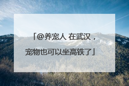 @养宠人 在武汉，宠物也可以坐高铁了
