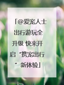 @爱宠人士 出行游玩全升级 快来开启“携宠出行”新体验