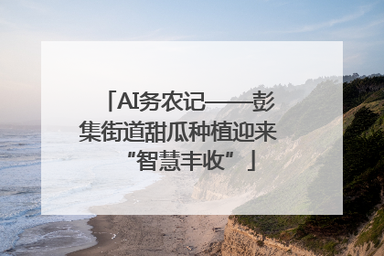 AI务农记——彭集街道甜瓜种植迎来“智慧丰收”
