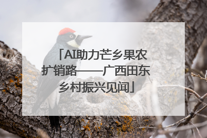 AI助力芒乡果农扩销路——广西田东乡村振兴见闻