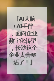AI大脑+AI手伴，面向企业数字化转型，长沙这个企业太会整活了！